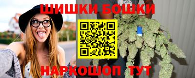 тгк Ставрополь