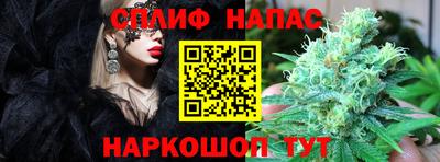 тгк Ставрополь