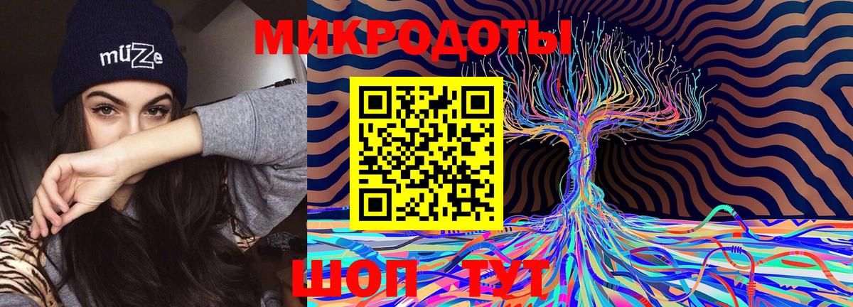 Псилоцибиновые грибы мухоморы Асино